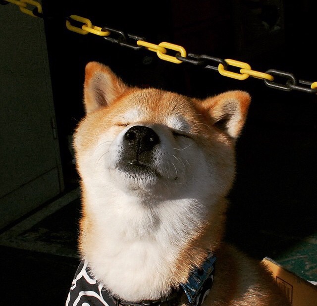 Kering-_夜光轮滑秀：炫彩灯火点亮青春_，轮滑发光轮怎么装