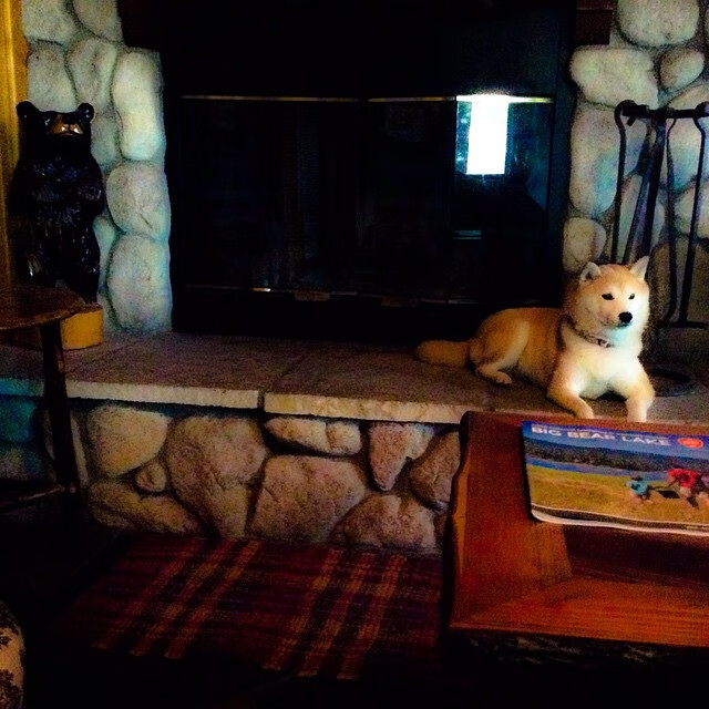 开云体育app网页版安全-_湖人队迎来关键战，力争突破连败_，湖人队最新进展