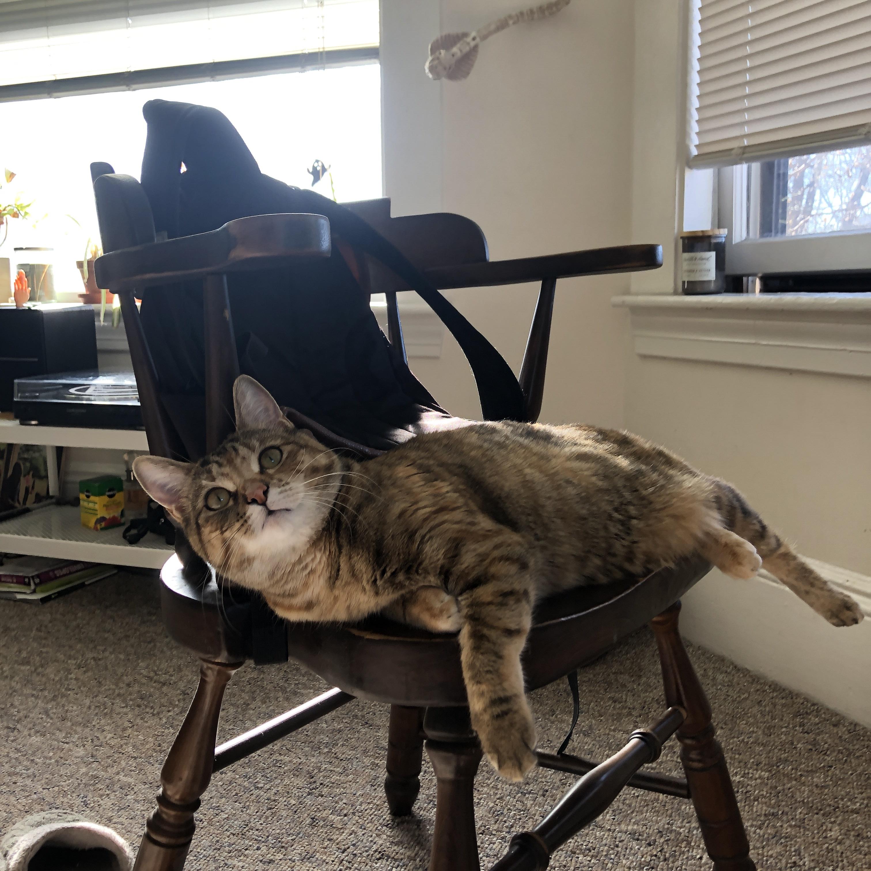 开云下载-“总决赛第一场：火花四溅，焦点瞬间持续登顶热搜”，总决赛现场