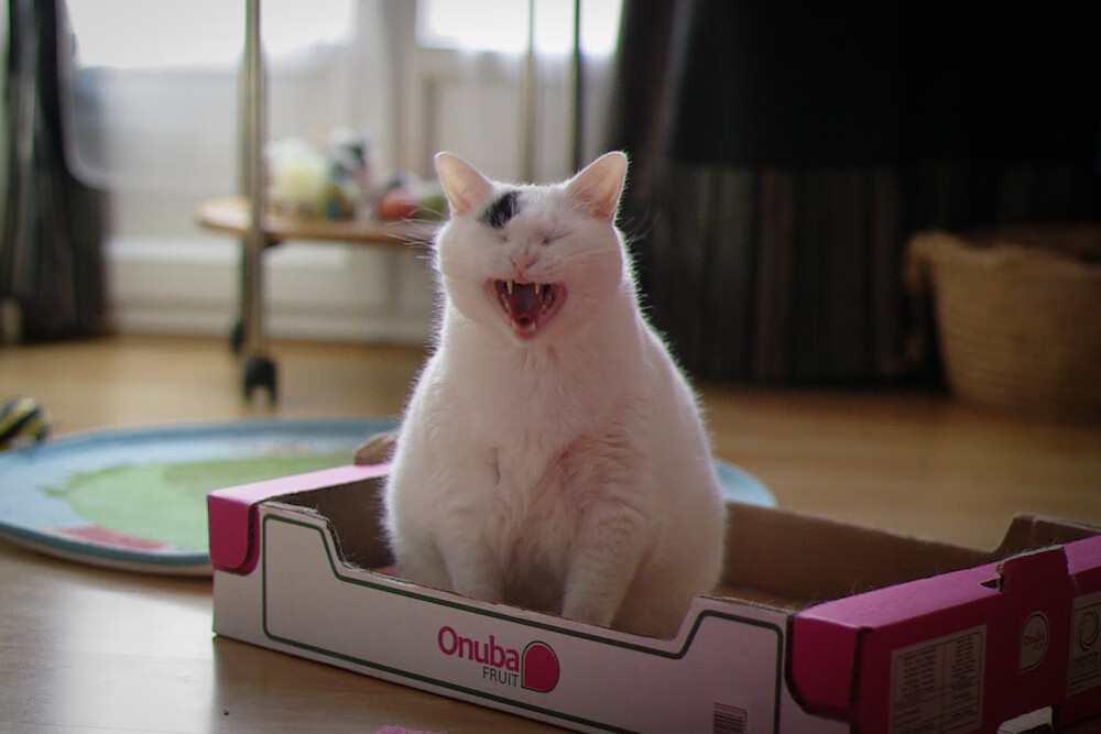 kaiyun 开云体育-【大数据驱动】比赛分析帮球队制定“秘密武器”战术